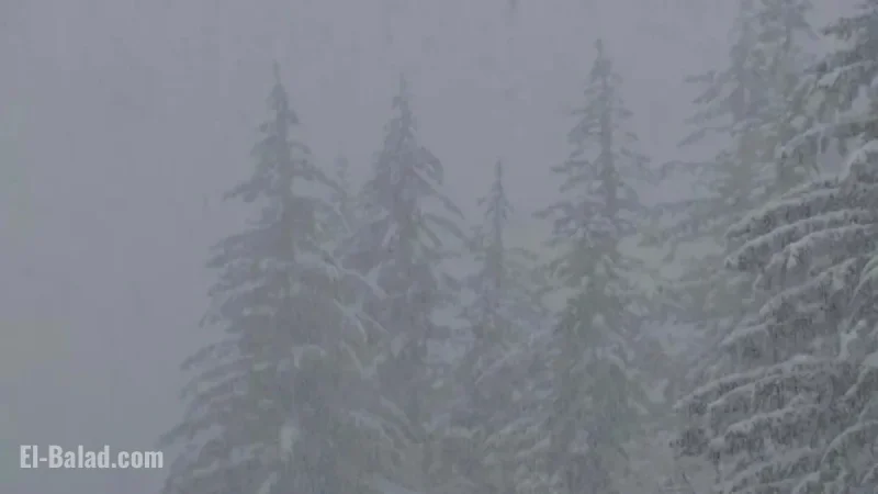 Winter Weather Alert: Ensure Javascript is Enabled for Website Access