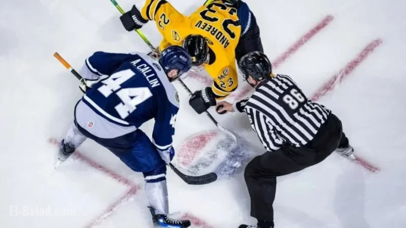 ECHL Strike Highlights Players’ Concerns Beyond Financial Issues