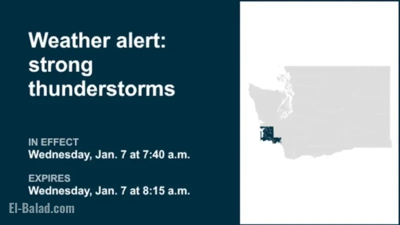 Pea-Sized Hail and Thunderstorms Hit Southwest Washington Wednesday