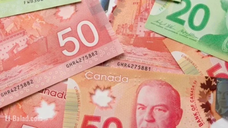 7 Tax Credits and Benefits Quebecers Can Claim This Month