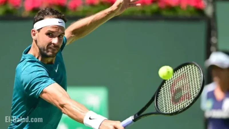 Brisbane ATP Day 5: Predictions for Collignon vs Dimitrov Match