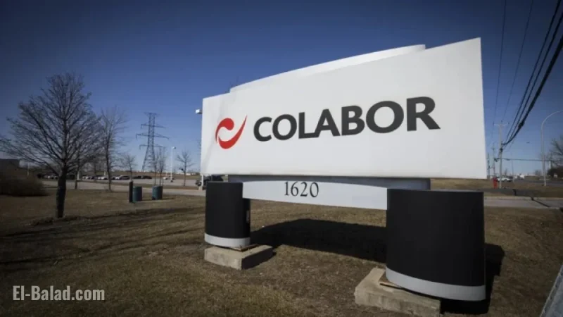 Colabor Shields Itself From Creditors Amid Financial Struggles