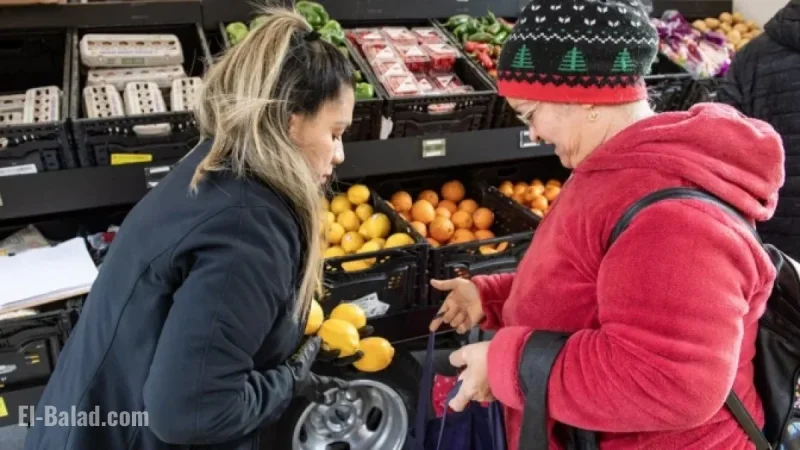 End of Farm Bill Era Looms for 2026: American Agriculture Policy Shift