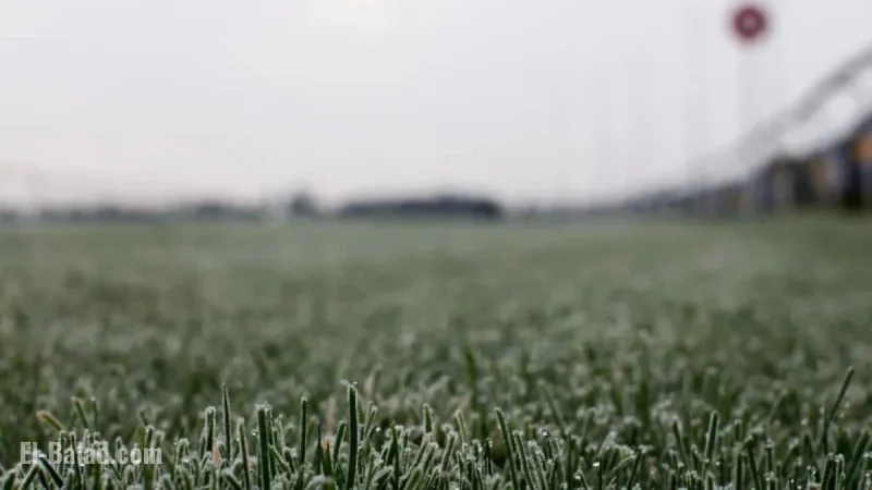 Latest Weather and Inspection Updates for Racing Events
