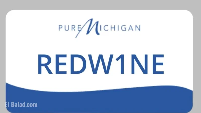 Michigan Bans Over 30,000 License Plates in Crackdown
