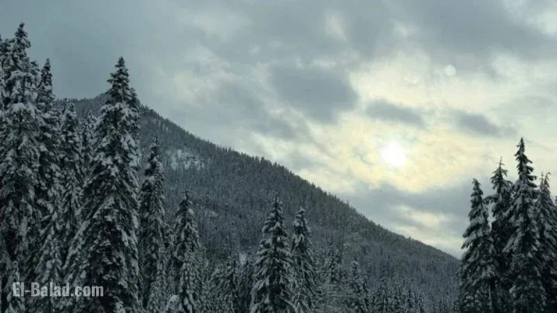 Winter Weather Delivers Snow, Boosts Ski Slopes’ Opening Day