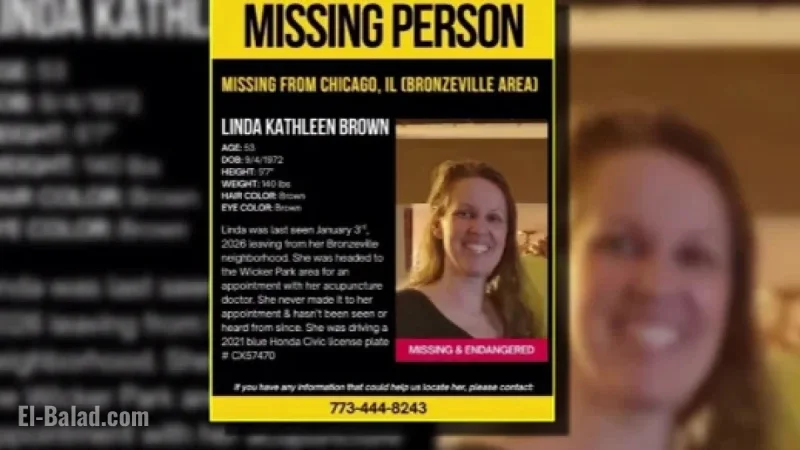Car of Missing Chicago Teacher Linda Brown Discovered, Says Husband