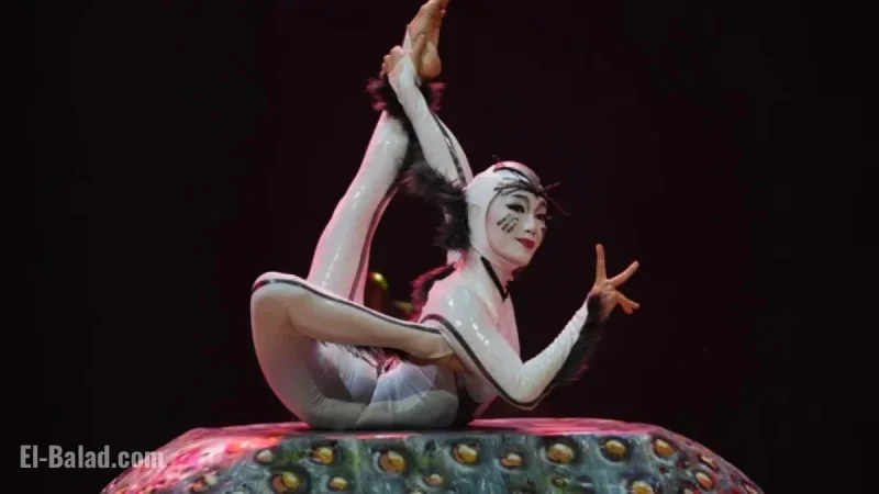 Cirque du Soleil Prepares for ‘Ovo’ Show on Insect Life Cycle