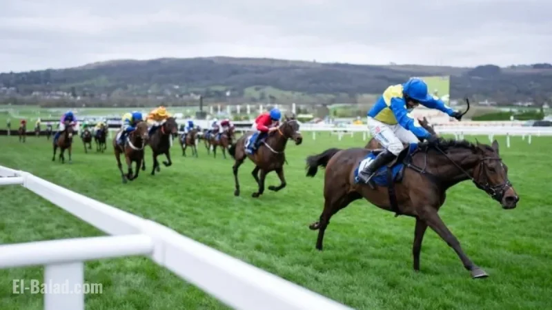 Dan Skelton Honors Late Cheltenham Festival Winner Langer Dan