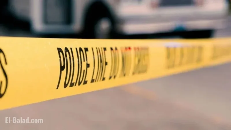Minnesota Woman Killed in Suspected Shark Attack in US Virgin Islands