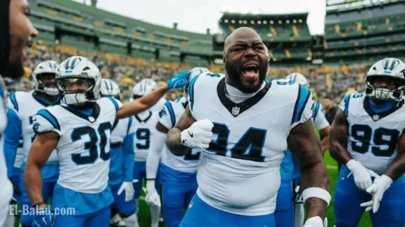 Panthers Rely on Super Bowl Veterans for Playoff Push