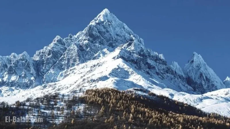 AI Unravels Mystery of Missing Mountaineer