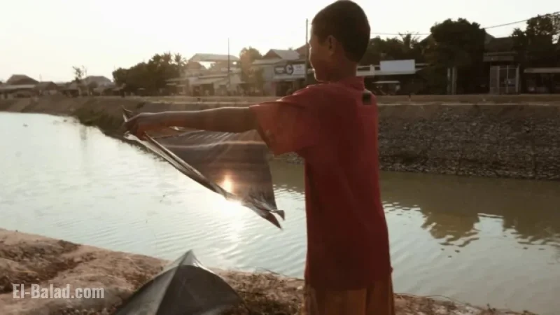 Exploring the Tranquil Beauty of Laundry: A Goats and Soda Feature