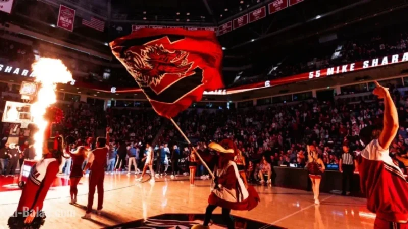 Gamecocks Host No. 18/20 Georgia on Saturday