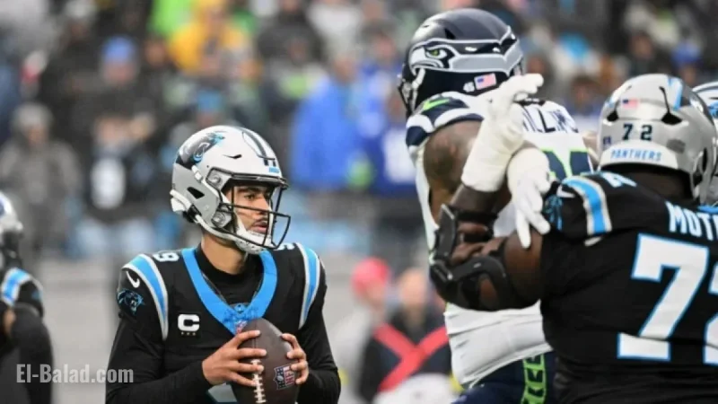 Panthers Secure Playoff Spot as Fifth NFL Team with Losing Record