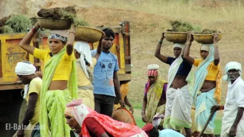 Rural Employment Law Lacks Solid Assurance