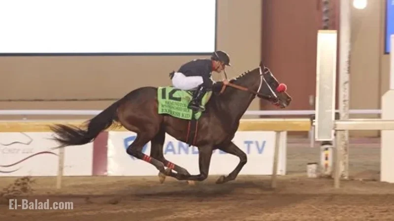 Express Kid Commands $800,000 at F-T Flash Sale