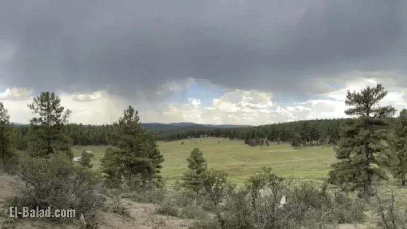 Friends Attempt Affordable Housing Project in Pagosa Springs: Realistic Vision or Dream?
