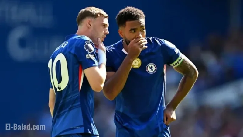 Rosenior Shares Updates on Gusto, James, and Palmer’s Progress