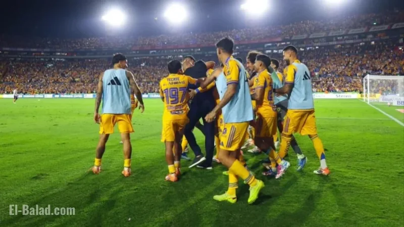 Tigres Seeks Argentine Midfielder for Clausura 2026 Signing