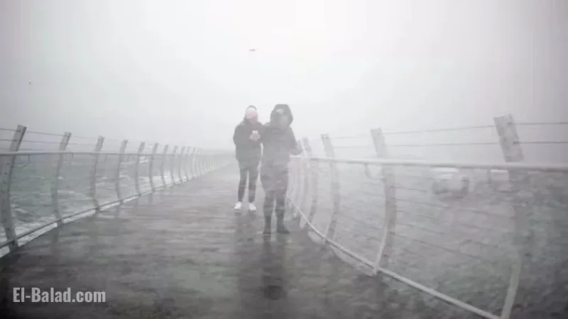 Flood Alert: Atmospheric River Strikes Vancouver Island and Fraser Valley, B.C.