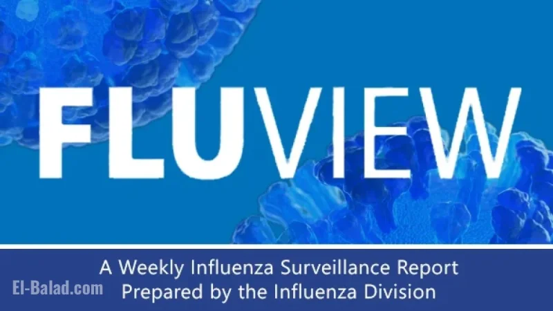 FluView Update: Essential Insights from US Week 53 Flu Report