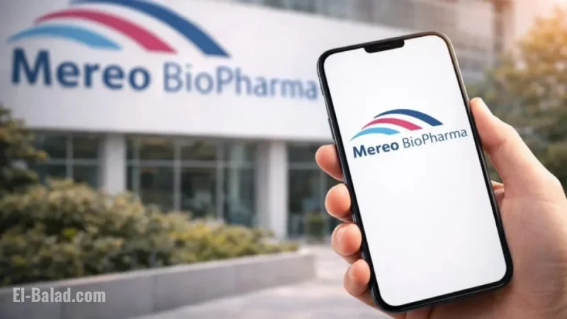 Mereo BioPharma Stock Stabilizes Ahead of JPM Healthcare Conference