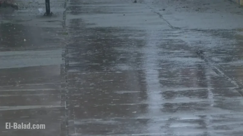 Vancouver Island: Heavy Rainfall Warning Issued for Inland and East Regions
