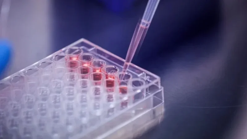 Abivax Shares Dip Amid Intense Takeover Speculation