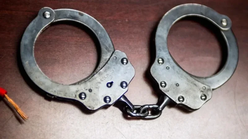 Daniel Stern Faces Charges for Soliciting Prostitute in California