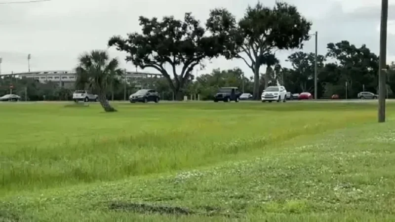 Rays, Hillsborough College to Clarify Stadium Site Plans Soon