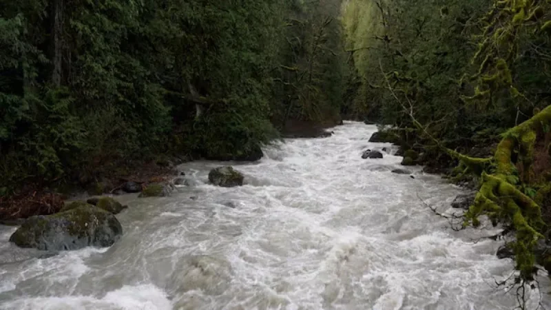 B.C. Flood Watches Lowered, Evacuation Alerts Lifted