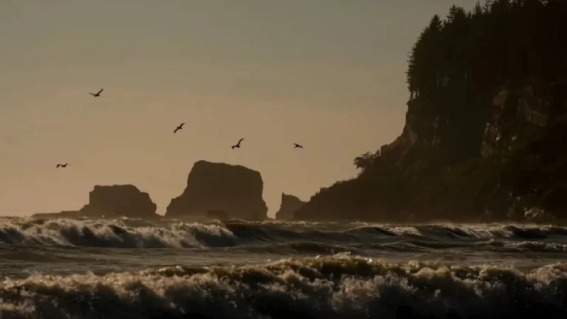 Former Oregon Mayor’s Skeleton Identified on Western Washington Beach