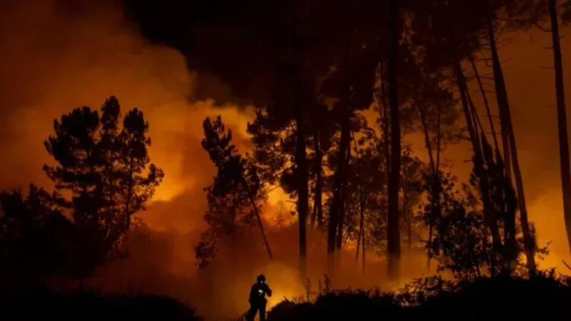 Global Warming Hits 1.4°C Following Third-Hottest Year on Record