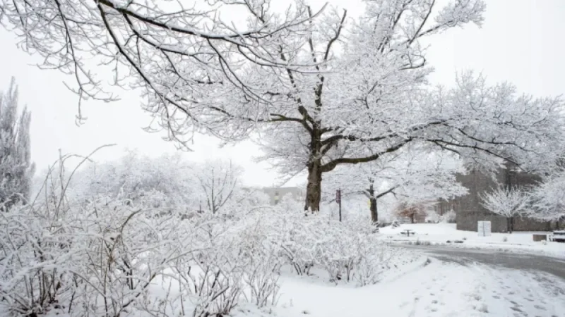 Heavy Snowfall Forces McMaster Closure on January 15