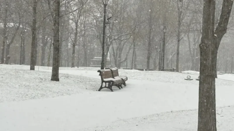 Montreal Faces Heavy Snow Amid Ongoing Winter Conditions