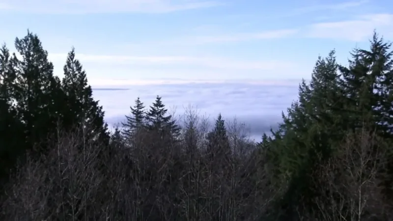 Man Dies at Cypress Mountain Resort, Confirm West Vancouver Police