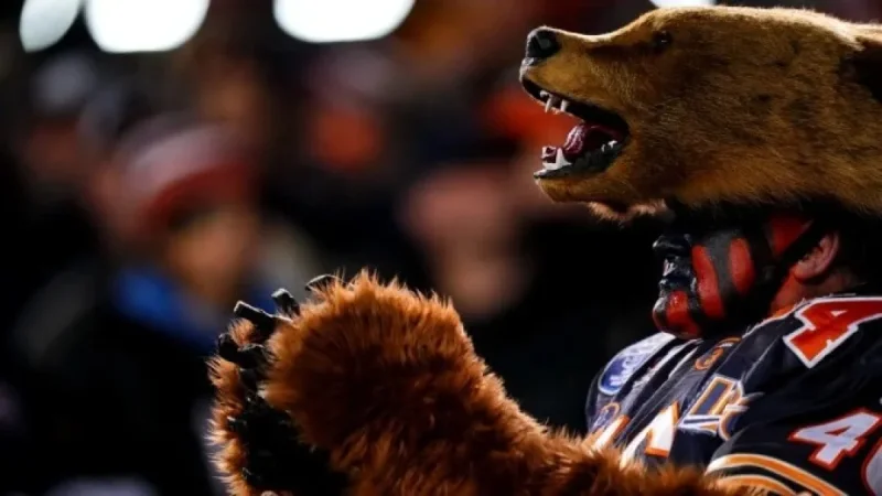 Embracing a Theory: Supporting the Chicago Bears with Renewed Passion