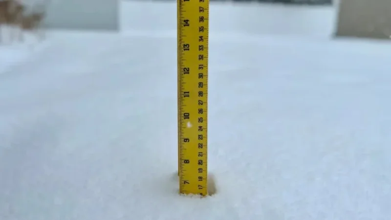 N.J. Storm: Snow Exceeds 4 Inches Across Seven Counties