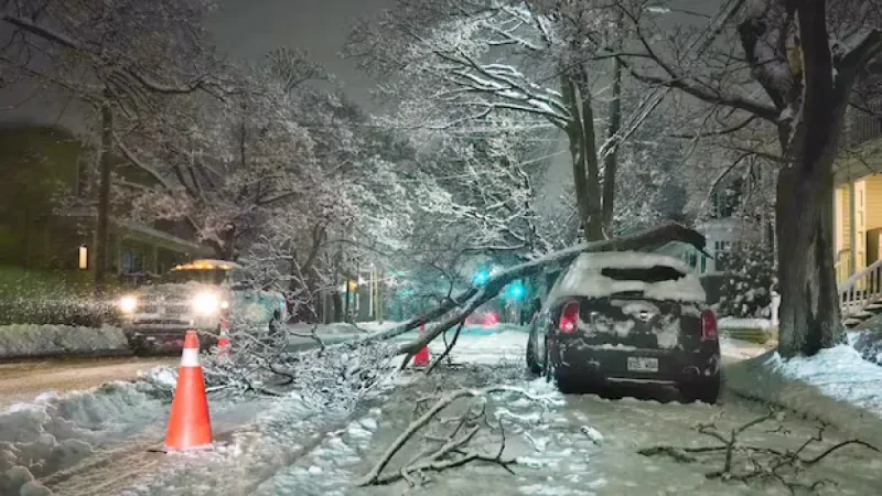 Winter Storm Strikes N.S., Leaving Thousands Without Power and Schools Closed