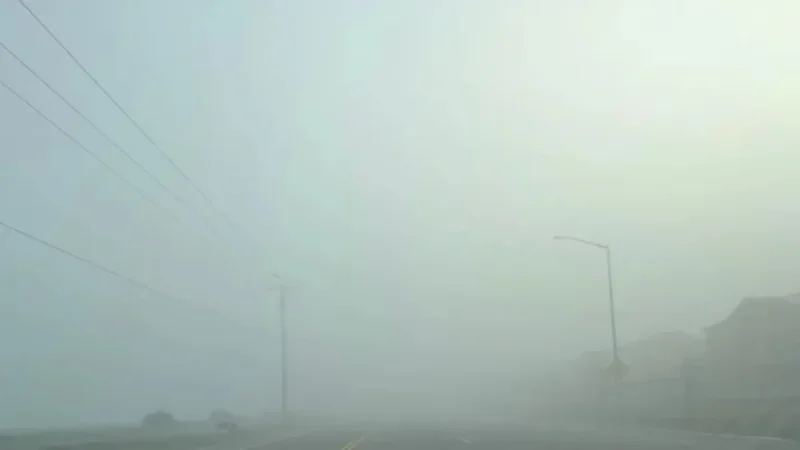 Decades-Thick Fog Engulfs the Valley!