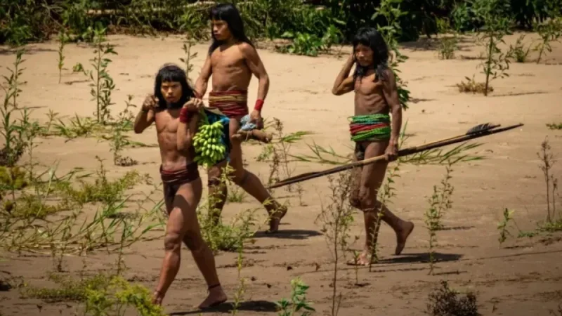 Exploring the Untouched Tribes: Lethal Arrows and Unique Survival Practices