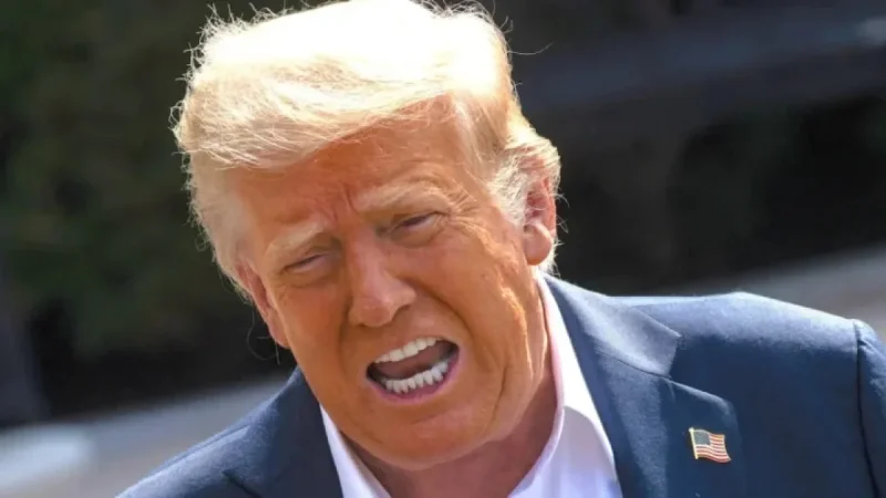 Donald Trump, 79, Calls for Jailing Dems in Late-Night Post
