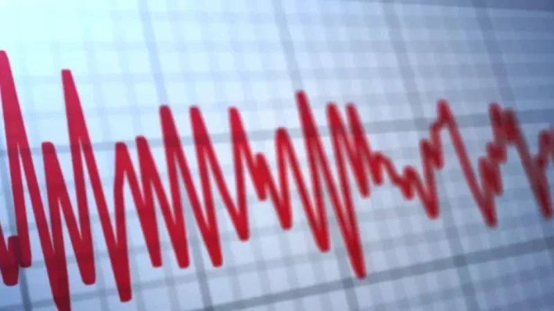 USGS Confirms Earthquake Detected Near Elgin