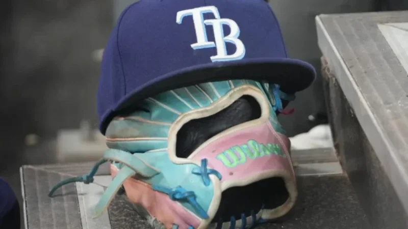 Update on Rays Stadium Development Plans