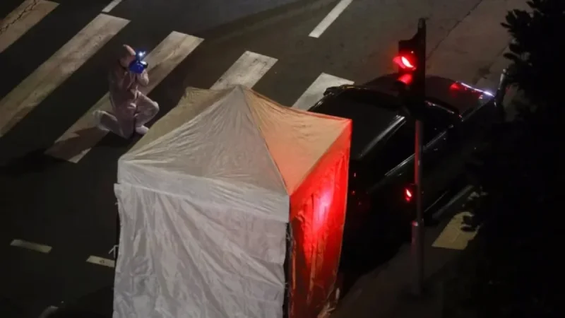 Woman, 24, Killed While Driving in Nice; Suspect Flees Scene