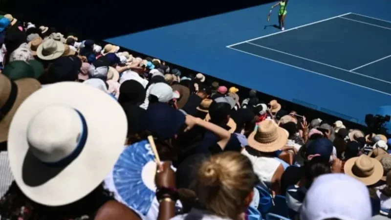 Ball Kid Aids Jasmine Paolini After Australian Open Match Disruption