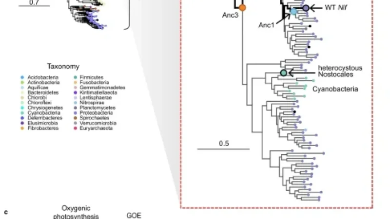 Revived Nitrogenases Mirror N-Isotope Biosignatures Across Two Billion Years