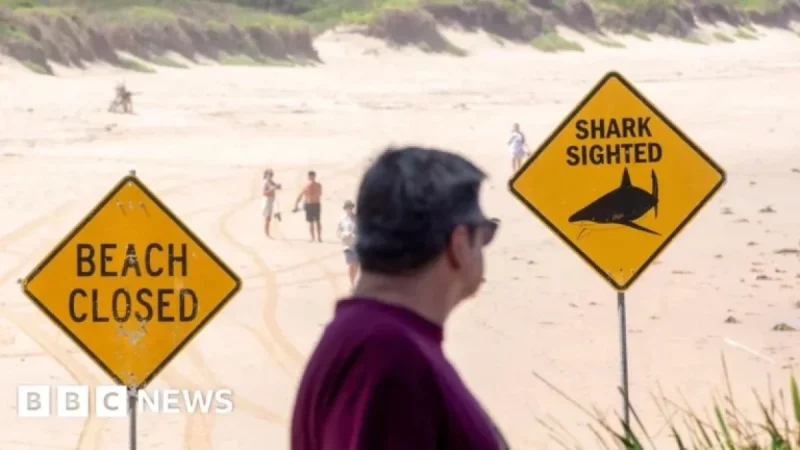 12-Year-Old Boy Dies Following Sydney Shark Attack Injuries