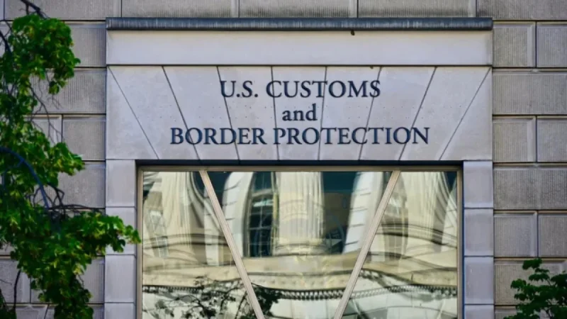 CBP Intercepts Dangerous Grain Pest at Detroit Airport; Urges Agriculture Declarations